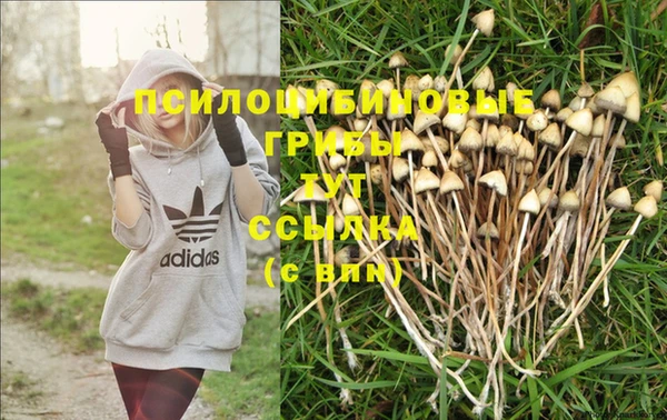 спиды Аркадак