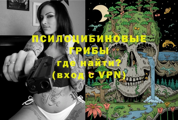 ALPHA PVP Надым