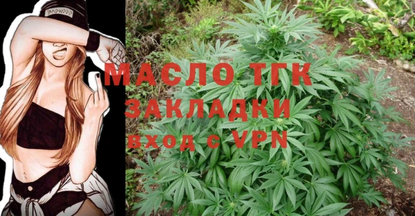 стаф Арсеньев