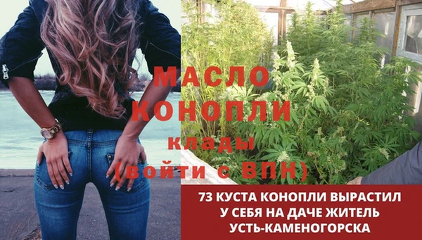 стаф Арсеньев