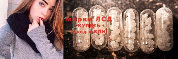 стаф Арсеньев