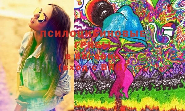 спиды Аркадак
